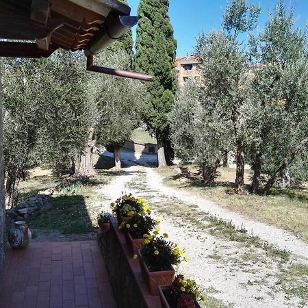 Colombaio In Colle Bed and Breakfast Sant'Angelo in Colle Exteriör bild