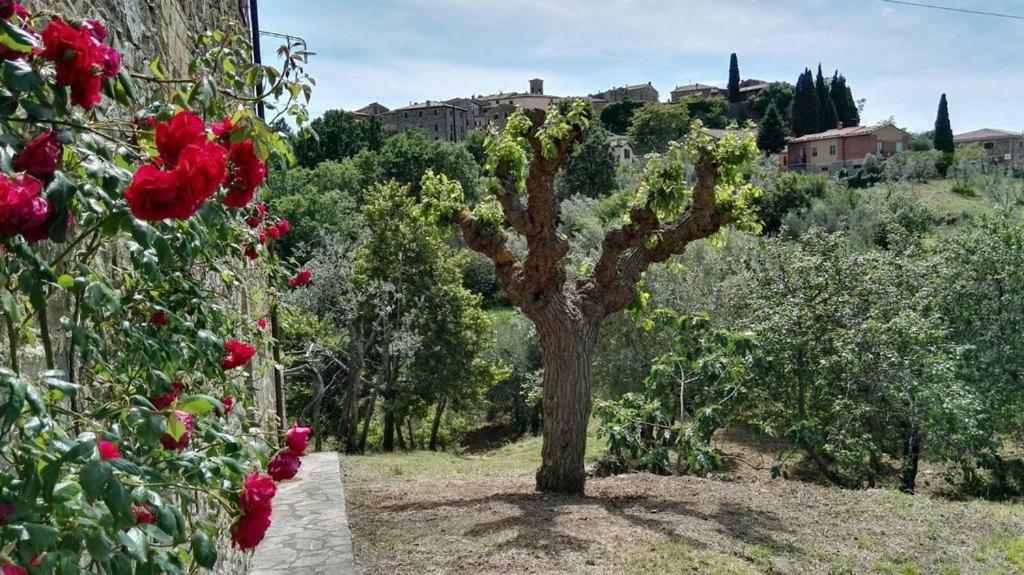 Colombaio In Colle Bed and Breakfast Sant'Angelo in Colle Exteriör bild