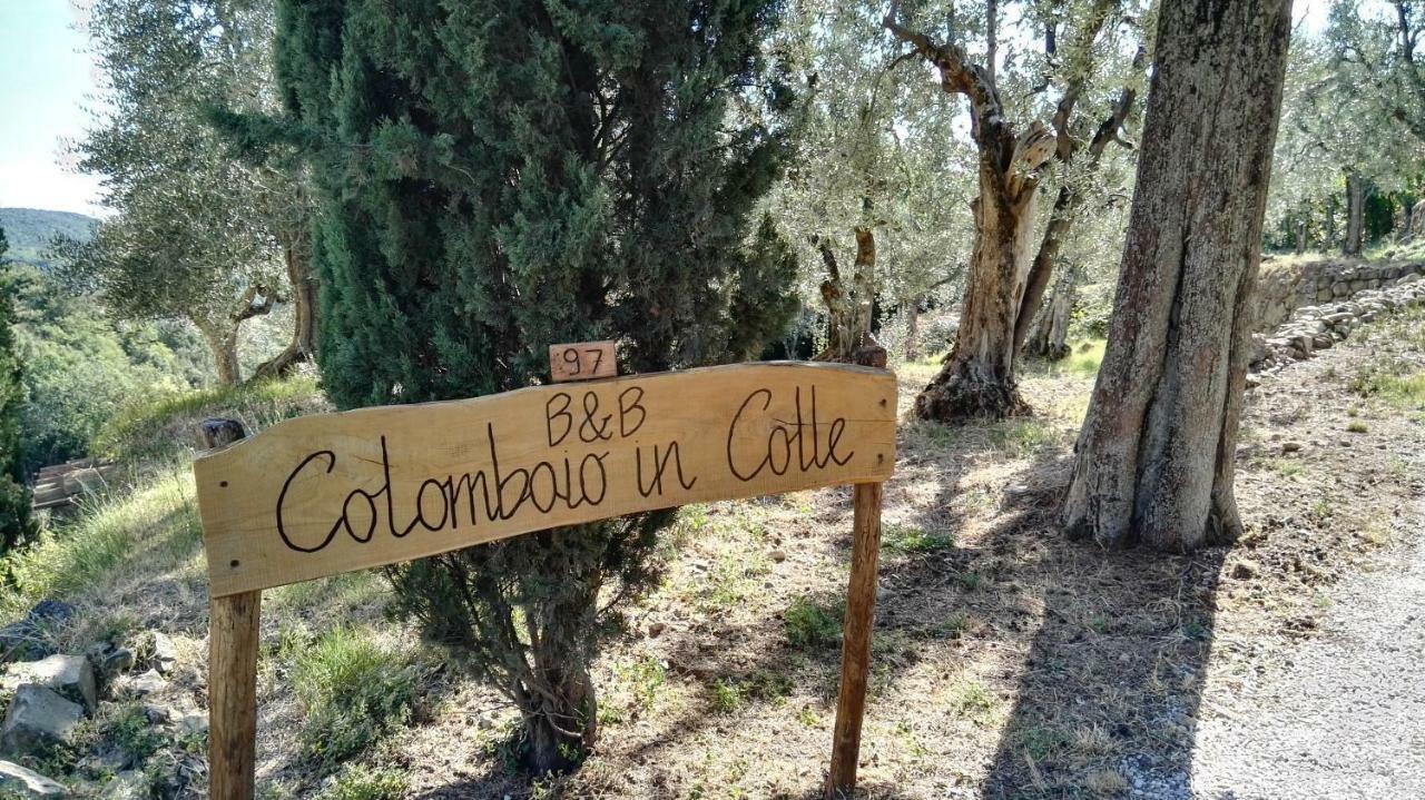 Colombaio In Colle Bed and Breakfast Sant'Angelo in Colle Exteriör bild