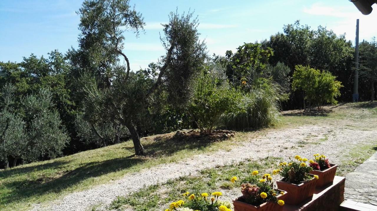 Colombaio In Colle Bed and Breakfast Sant'Angelo in Colle Exteriör bild